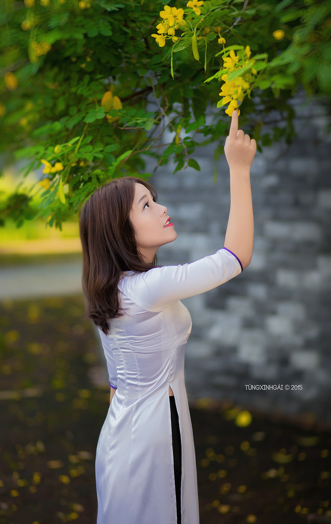 《莲花外传》电影在线观看